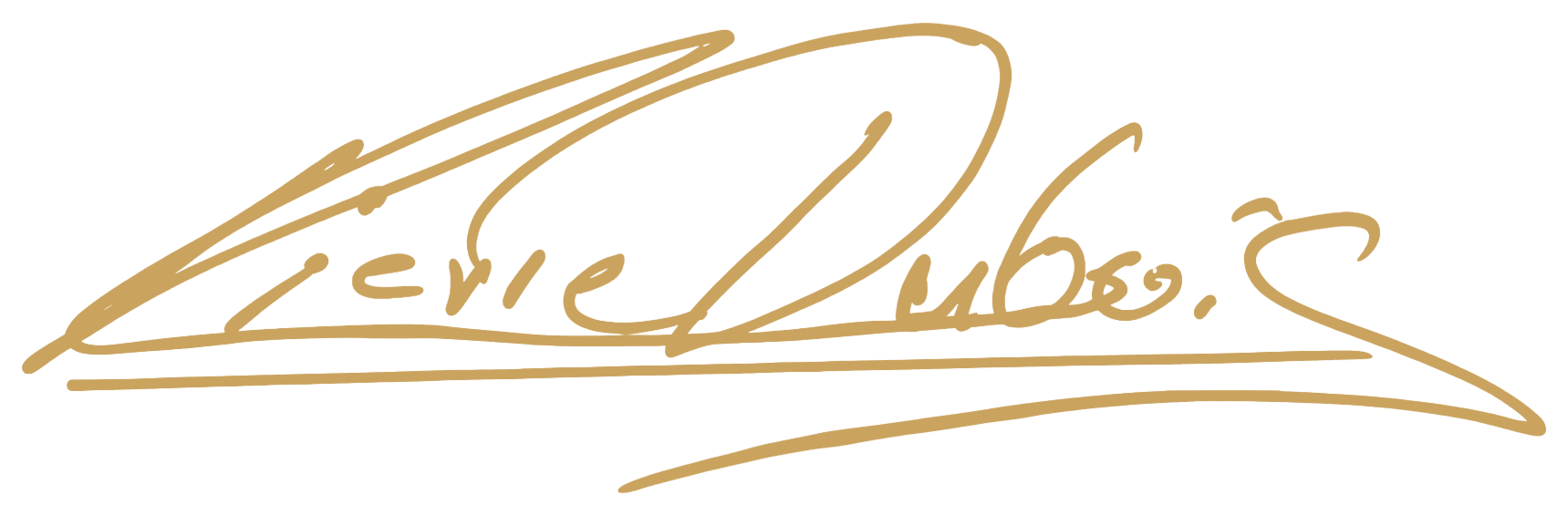 Signature de Pierre Dubois